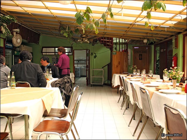 Terraza techada norte - Restaurante Colo-Colo (Romeral)