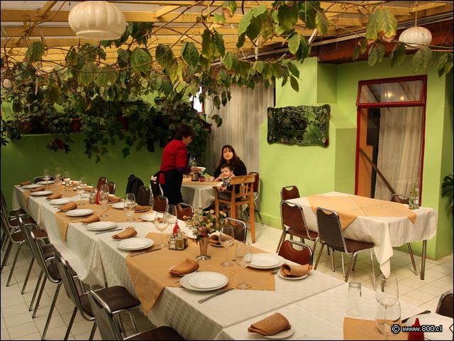 Terra techada y mesas - Restaurante Colo-Colo (Romeral)
