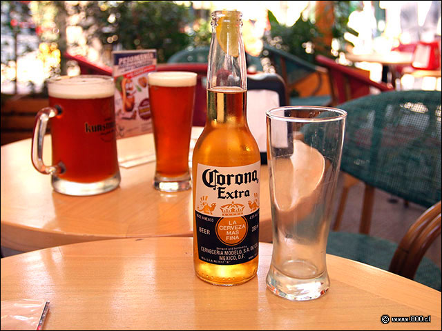 Cerveza Corona - Sangucados