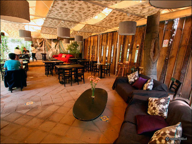Lounge y terraza cubierta - La Finestra Ristorante (Plaza uoa)