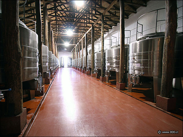 Bodega de toneles de vino en acero - Bodega Via Casa Silva (Valle de Colchagua)