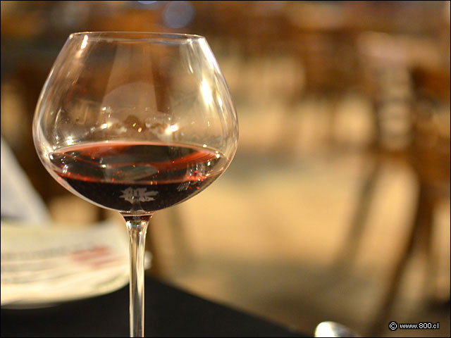 Pinot Noir - La Vinocracia