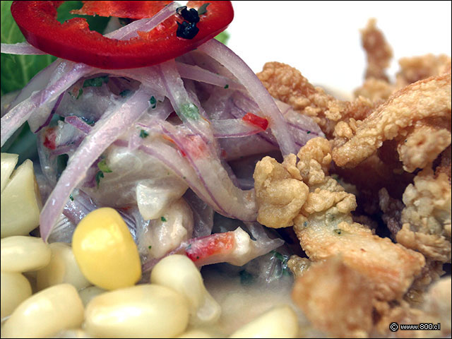 El ceviche de reineta y los calamares fritos - Per Criollo