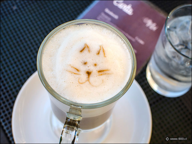 Café Latte - Caf Noi (Vitacura)