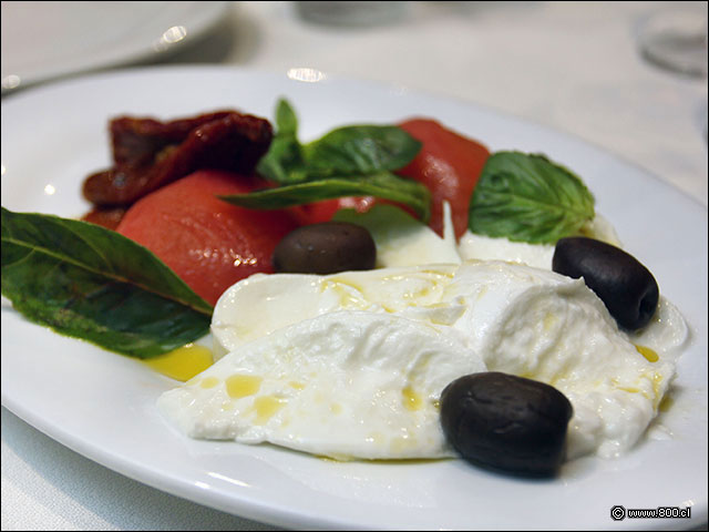 Ensalada Caprese con tomate, mozarella, aceitunas y albahaca - Don Carlos - Isidora