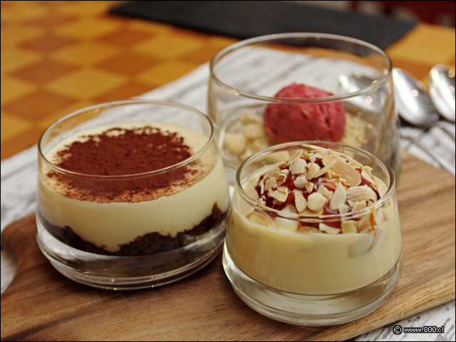 Tiramisu, panna cota y helado de la casa - Caf Med Marriott