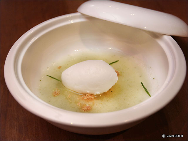 Helado de pepino en su sopa - Shinsei - Renaissance