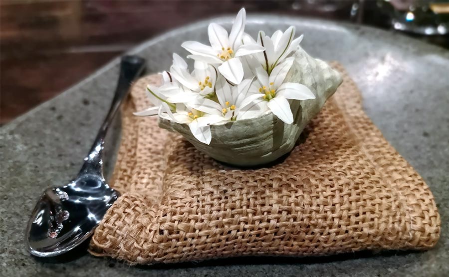 Caracol Palo Palo, hinojo y flores de estrella de mar - Borag Vitacura