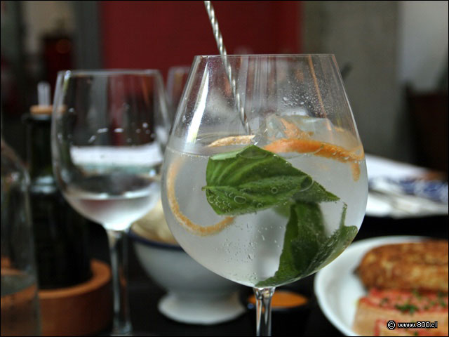Gin Tonic - Carrer Nou