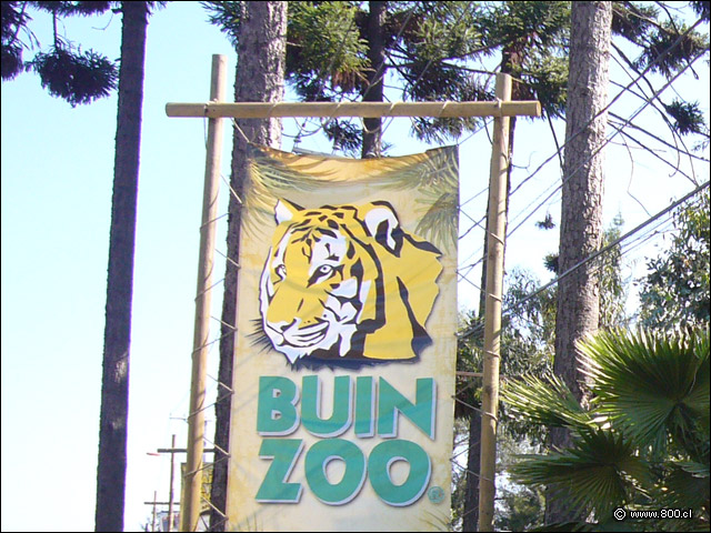 Entrada por Panamericana - Buin Zoo