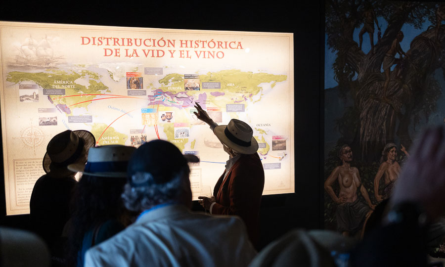Visita al Museo del Vino de la Viña Santa Cruz