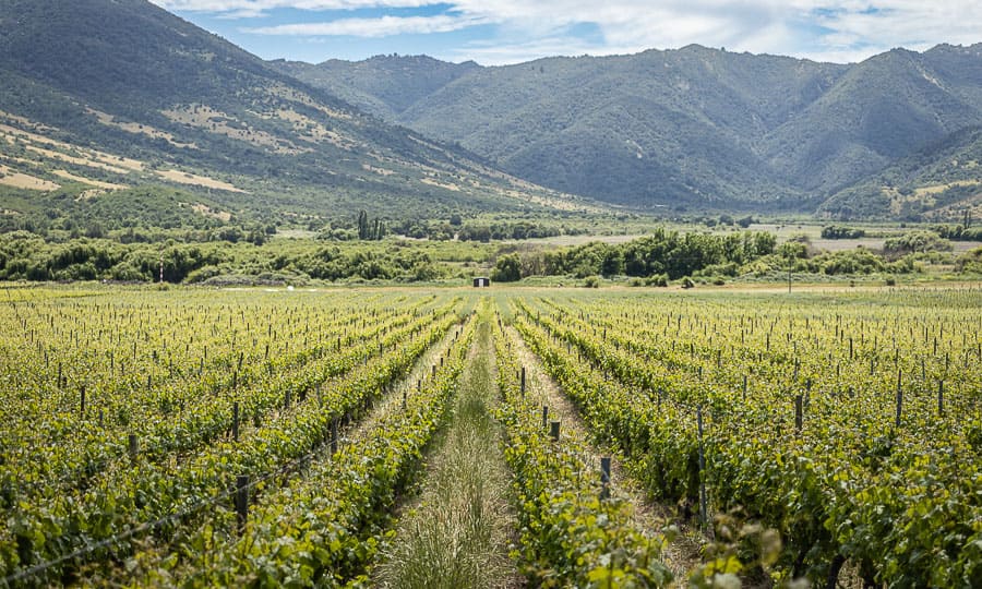 Vistas del centro gastronómico de la Viña Santa Cruz