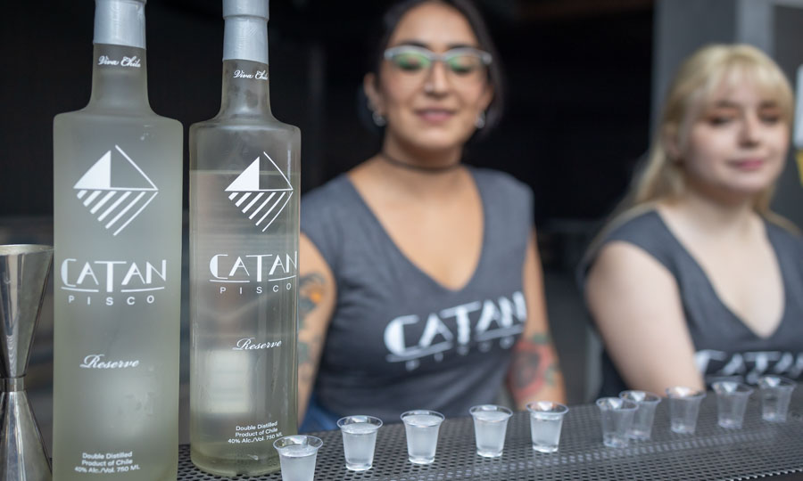 Degustación de pisco Catán Reserva