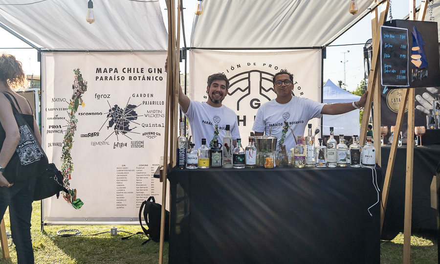 Asociación del Gin Chileno