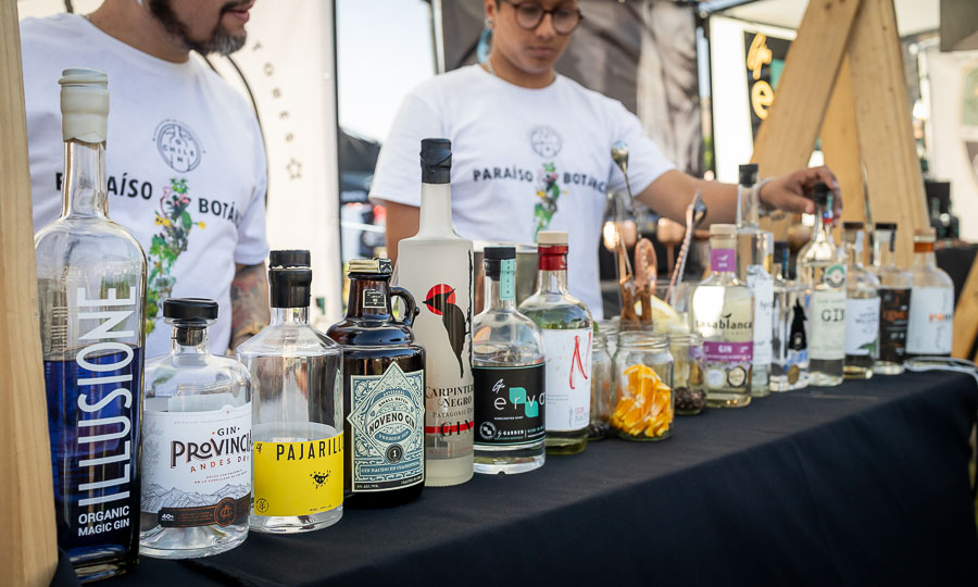 Asociación del Gin Chileno