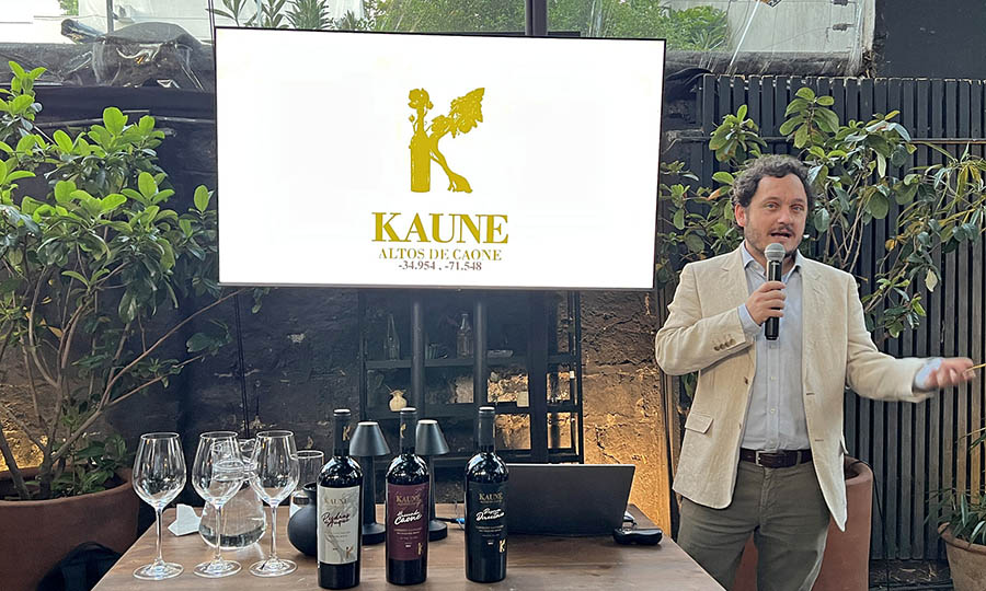 Presentación de los vinos de Kaune