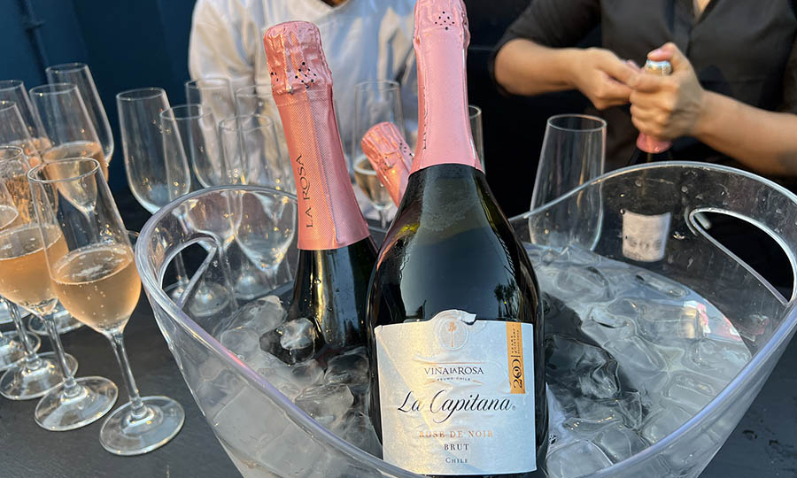 Vinos de la Viña La Rosa