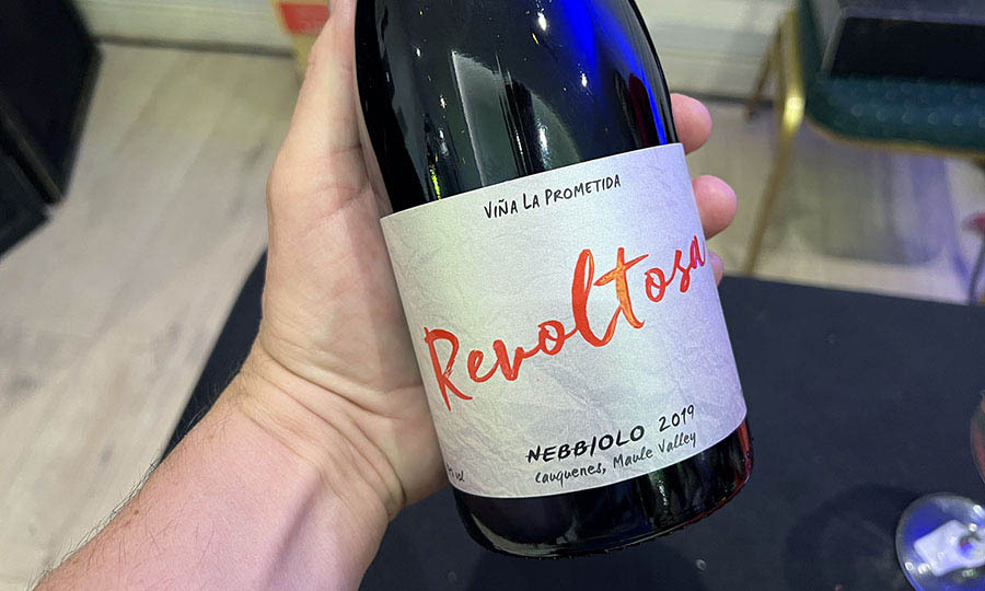 Vino elegido en Meet and Drink navidad 2024