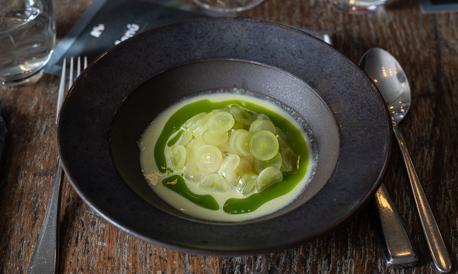 Crudo de ostiones con aloe vera, jalapeos y uvas verdes chilenas.