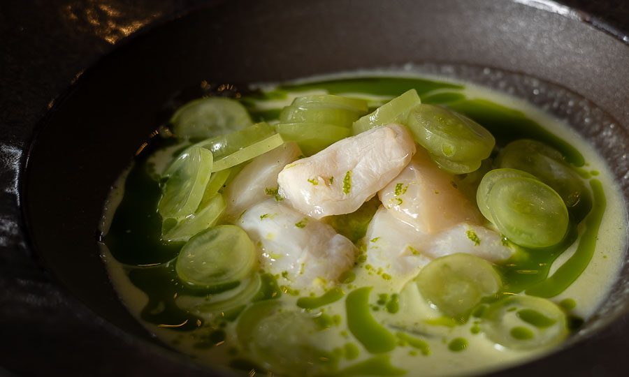 Crudo de ostiones con aloe vera, jalapeos y uvas verdes chilenas.