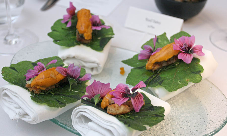 Erizo de Quintay con salsa verde de malva de playa en hoja crocante
