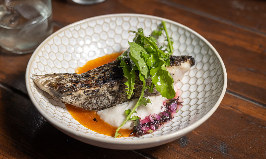 5º Tiempo: Pescado Rabioso