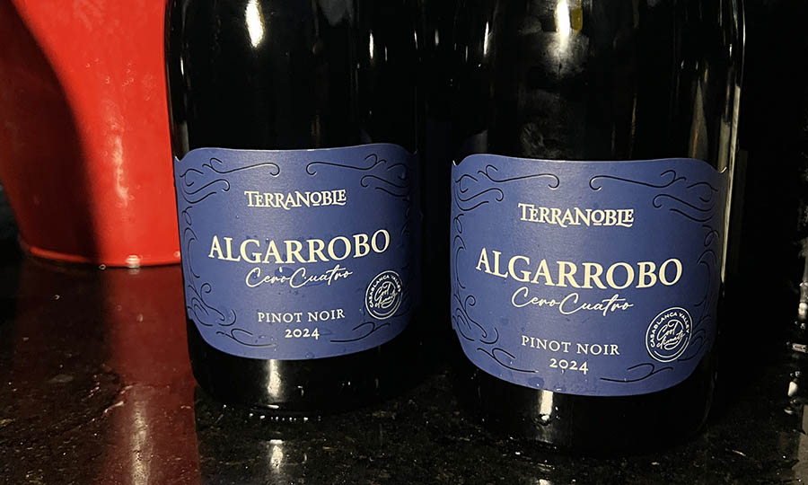 El Vino Algarrobo Cero Cuatro de Terranoble