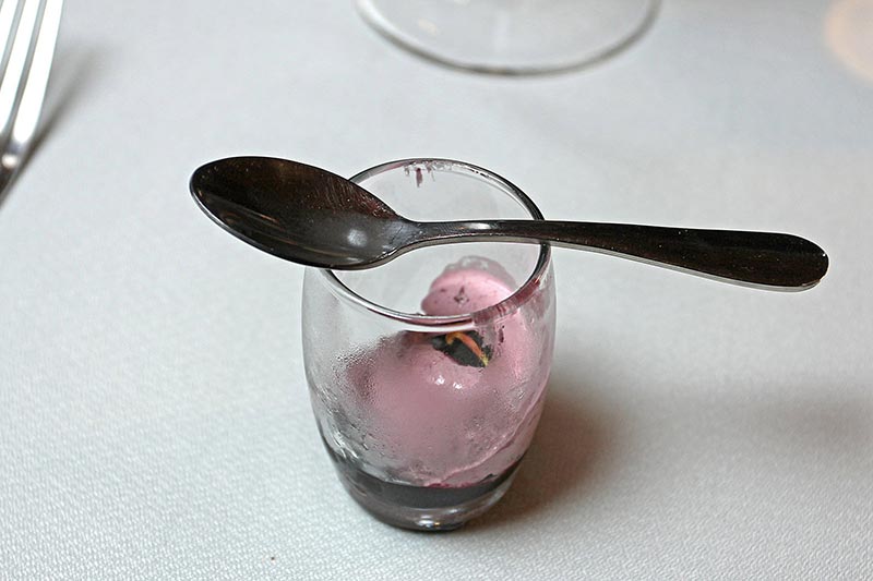 Limpia Paladar: Sorbet de Calafate