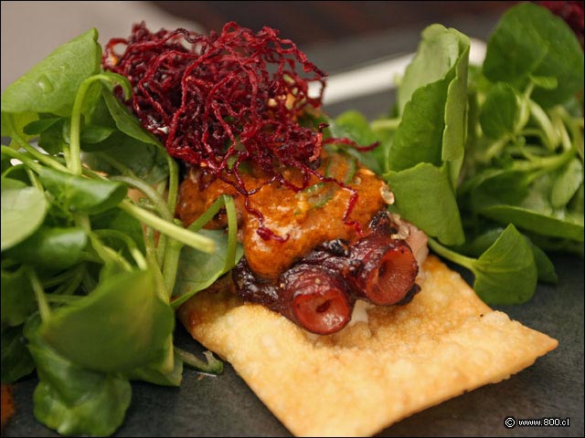 Primer plano de Pulpo Corcoante - Restaurante Nam (Providencia)