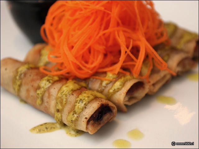 Detalle de Arrollado Primavera  - Restaurante Nam (Providencia)