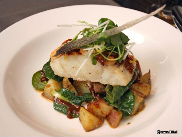 Congrio con Grat�n de Osti�n - Restaurante Nam (Providencia)