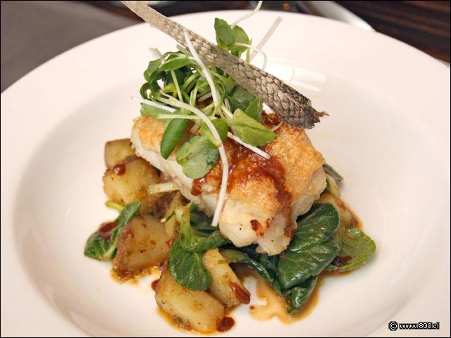 Trozo de Congrio sobre papas y espinacas en Congrio con Grat�n de Osti�n - Restaurante Nam (Providencia)