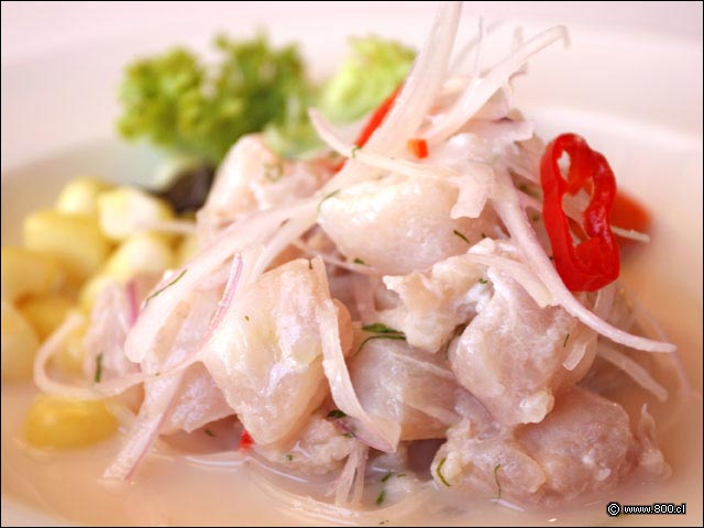 Primer plano de Ceviche de Corvina - Entre Ros (Rengo)