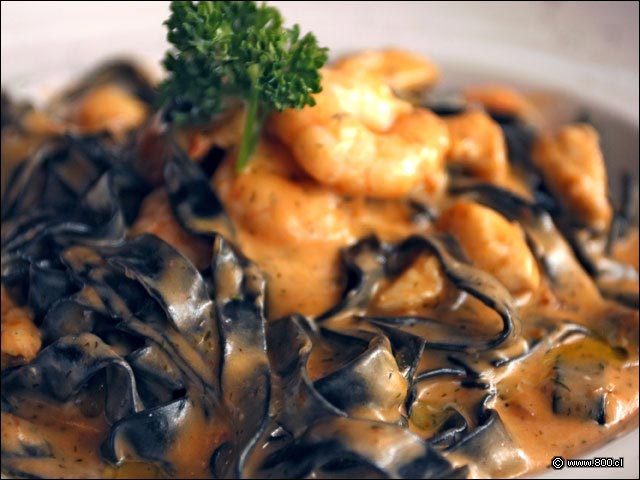 Pasta en tinta de calamar en Fetuccini Mar y Monta�a - Ma que cosa - Vidaparque