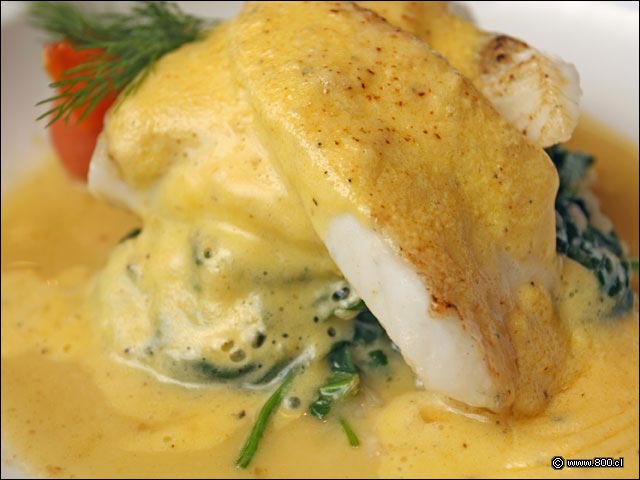 Filete de Turbot sobre risotto de espinacas en salsa holandesa