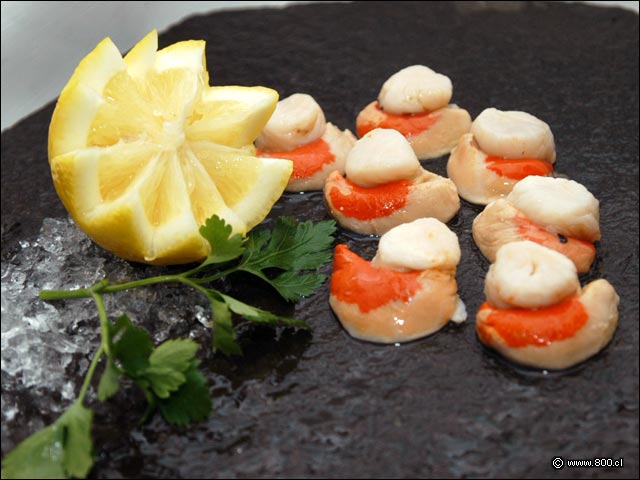 Osti�n con coral - Productos de Comercial Pesmar