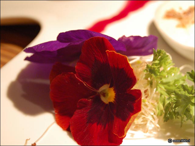 Detalles en la presentacion - Santer�a