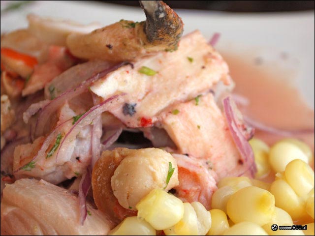 Camar�n, Pulpo y Jaiba en Ceviche Mixto - Cevichela (Vitacura)