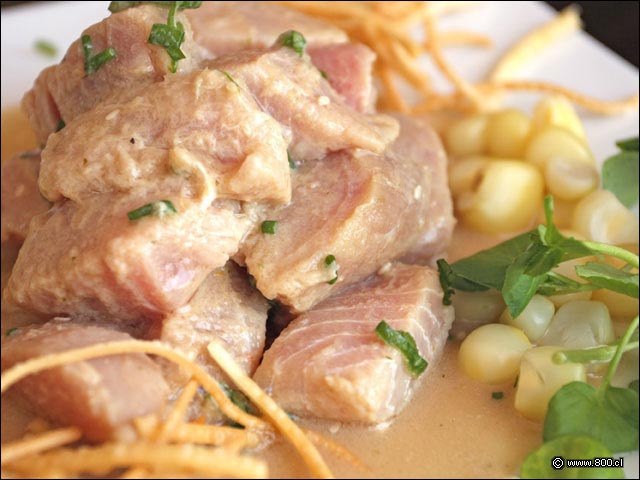 Primer plano de At�n Nikkei - Cevichela (Vitacura)