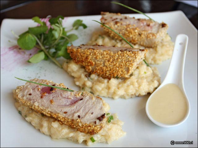 At�n encostrado en s�s�amo del Restaurante Cevichela - Cevichela (Vitacura)