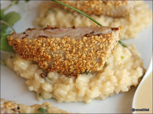 Primer plano de At��n sellado en s�samo - Cevichela (Vitacura)