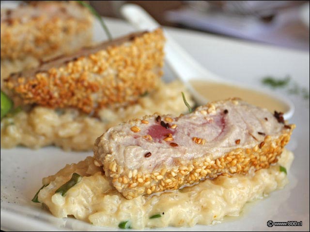 Detalle de At��n sellado en s�samo - Cevichela (Vitacura)