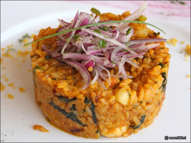 Timbal de Camarones - Cevichela (Vitacura)