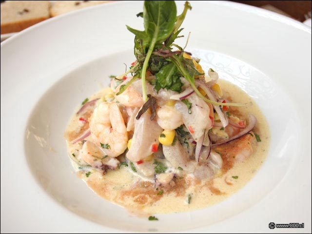 Ceviche del Da en Mulato - Mulato Restaurant