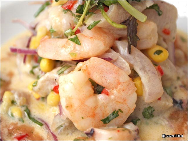 Camarones en Ceviche del Da - Mulato Restaurant