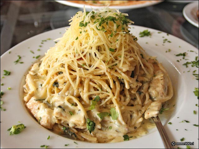 Chicken Alfredo Florentine - Tony Romas (Parque Arauco)