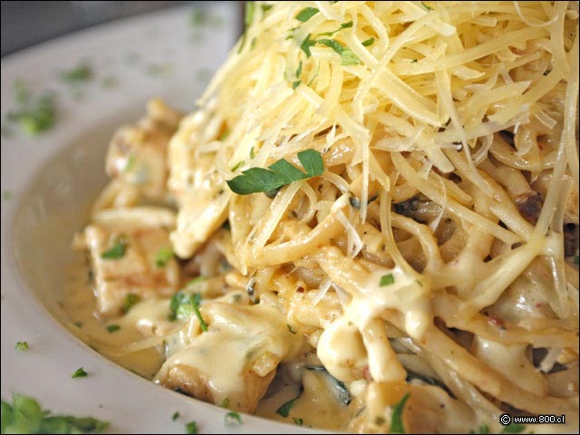 Detalle de pasta en Chicken Alfredo Florentine - Tony Romas (Parque Arauco)