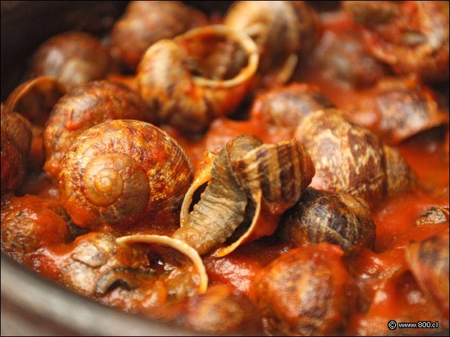 Caracoles en restaurante La Bodeguilla de Cristbal - La Bodeguilla de Cristbal