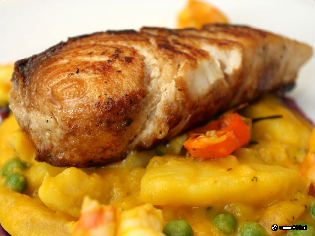 Filete de Mero a la plancha sobre Ragu de Papa Olluco - Mare Nostrum (Providencia)