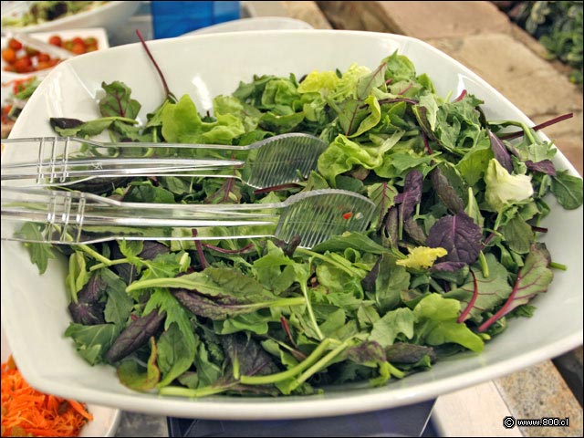 Ensalada de hojas verdes baby - El Boho - Hotel Sheraton